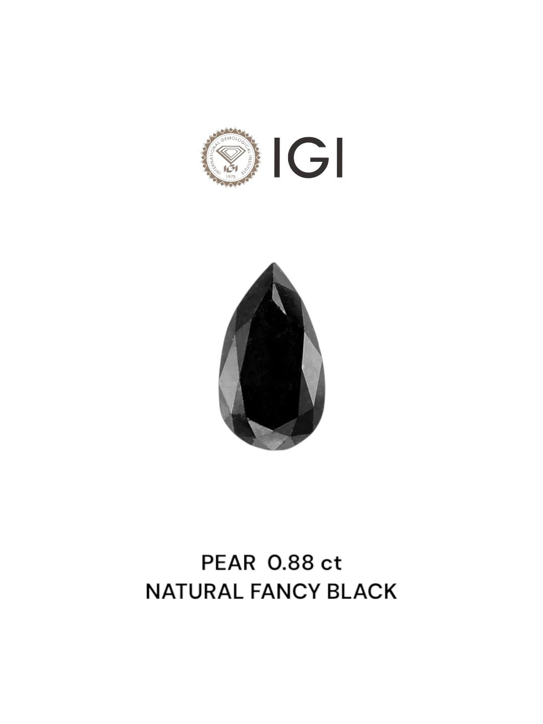 Diament 0.88 ct Fancy Black/