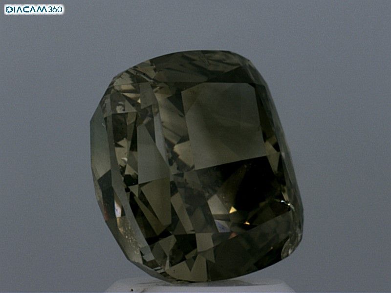 Diament 3.16 ct Fancy Dark Brown Greenish Yellow/I1