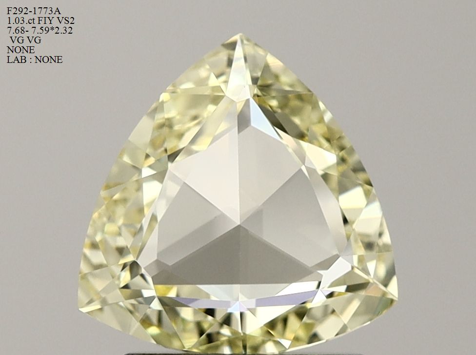 1.02 ct Rose Diamond