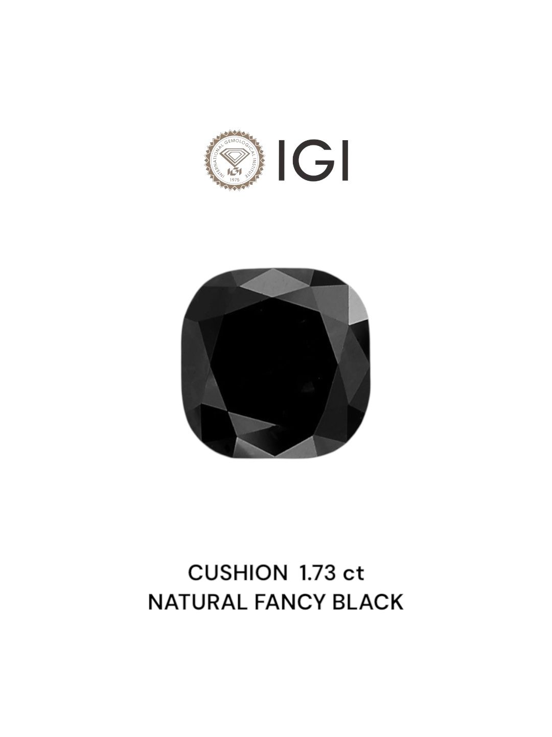 Diament 1.73 ct Fancy Black/